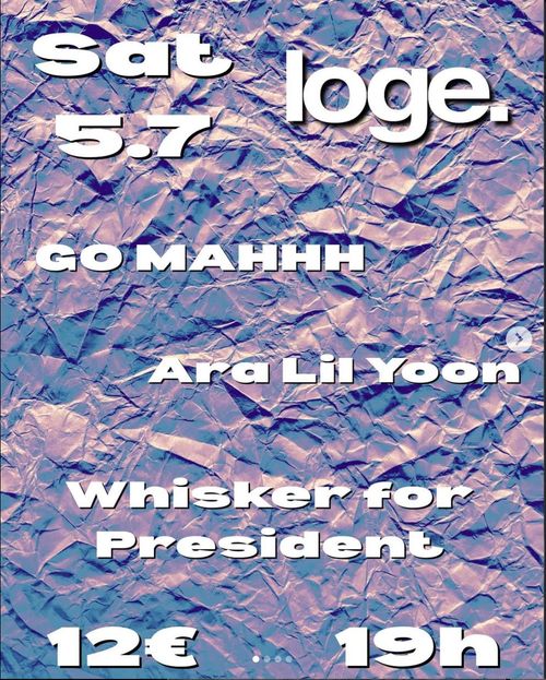 GO MAHHH + ARA LIL YOON + WHISKER FOR PRESIDENT