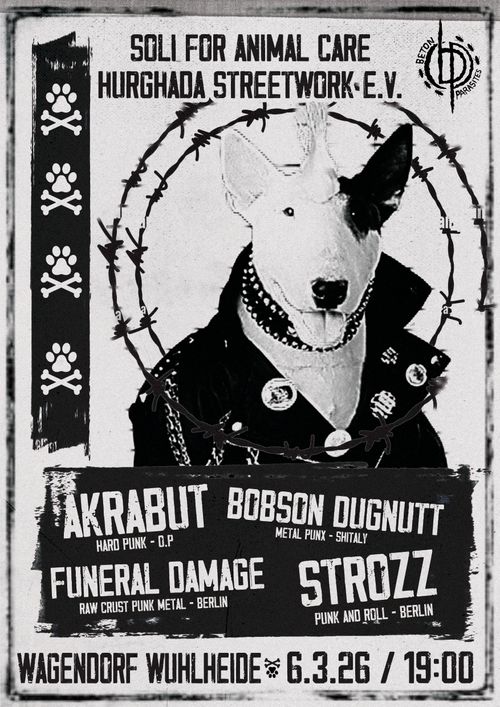 Soli-Gigs for Animal Care Hurghada Streetwork e.V