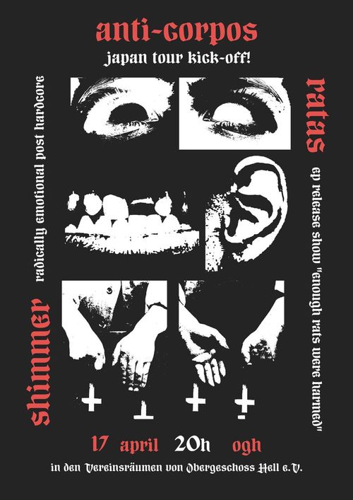 Anti-Corpos + Shimmer