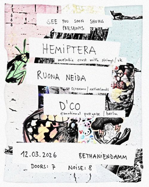 Hemiptera / Ruona Neida / D'Co